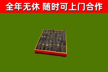 镇沅县回收海参